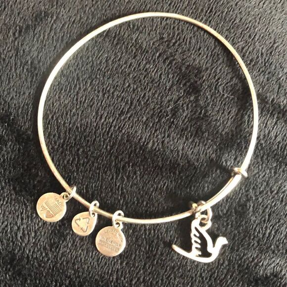 Alex & Ani  bracelet - Picture 1 of 2